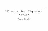 Flowers for Algernon Review Team Bluff. Rules for Bluff 1.Students are divided in teams of 4-7 players, seated together. 2.The teacher will put a review.