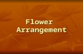 Flower Arrangement. The Principles of Floral Design: 1.Emphasis 2.Balance 3.Proportion 4.Rhythm 5.Harmony 6.Unity.