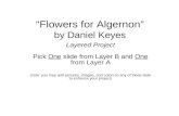 Flowers for Algernon by Daniel Keyes Layered Project Pick One slide from Layer B and One from Layer A (note: you may add pictures, images, and colors to.