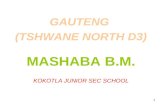 1 GAUTENG (TSHWANE NORTH D3) MASHABA B.M. KOKOTLA JUNIOR SEC SCHOOL.