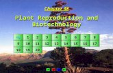 Chapter 38 Plant Reproduction and Biotechnology Chapter 38 Plant Reproduction and Biotechnology Fig. 1111 2222 3333 4444 5555 6666 7777 8888 9999 10 11.