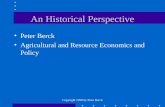 Copyright 1998 by Peter Berck An Historical Perspective Peter Berck Agricultural and Resource Economics and Policy.