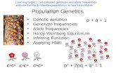 Population Genetics Genetic variation Genotype frequencies Allele frequencies Hardy-Weinberg Equilibrium Inferring Evolution Applying HWE p 2 + 2pq + q.