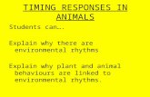 TIMING RESPONSES IN ANIMALS Students can…. Explain why there are environmental rhythms Explain why plant and animal behaviours are linked to environmental.