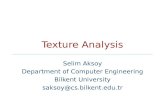 Texture Analysis Selim Aksoy Department of Computer Engineering Bilkent University saksoy@cs.bilkent.edu.tr.