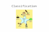 Classification. Classification schemes sort organisms into groups based on characteristics that they share. As we progress from Kingdom to species, the.