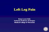 Left Leg Pain Brian Lewis M.D. Assistant Professor of Surgery Medical College of Wisconsin.