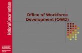 Office of Workforce Development (OWD) NCI Office of Workforce Development Assists NCI leadership identify strategic approach to human capital issues.