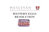 BATTERY EGGS RESOLUTION. History of Egg Farming Between 1955 and 1975 flock size in a typical egg factory rose from 20,000 to 80,000 birds per house as.