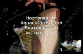 Hormones in Aquacultre/Fish Reproduction Dr. Craig Kasper.