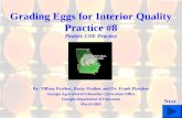 Grading Eggs for Interior Quality Practice #8 Poultry CDE Practice By: Tiffany Prather, Rusty Prather and Dr. Frank Flanders Georgia Agricultural Education.