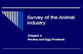 Survey of the Animal Industry Chapter 4 Poultry and Egg Products.