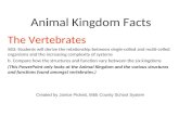 Animal Kingdom Facts The Vertebrates SB3: Students will derive the relationship between single-celled and multi-celled organisms and the increasing complexity.