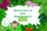 Welcome to the Rainforest! Lets Get Started Lets Get Started.