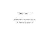 Zebras … Animal Domestication & Anna Karenina. Zebras … Two Principles: Tolstoy (Anna K): Happy families are all alike; every unhappy family is unhappy.