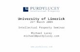 University of Limerick 25 th March 2009 Intellectual Property Seminar Michael Lucey michael@purdylucey.com .