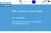PAL scores on many fields… Rob Vierendeels OOF-Project “Pal scoort op vele velden” Grundtvig Blaid Project.