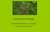 Animal Ecology Donald Winslow, Zoology 26 January 2011.