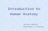 Introduction to Human Anatomy Sanjaya Adikari Department of Anatomy.