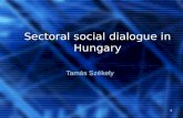 1 Sectoral social dialogue in Hungary Tamás Székely.