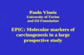 Paolo Vineis University of Torino and ISI Foundation EPIC: Molecular markers of carcinogenesis in a large prospective study.