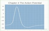 Chapter 4 The Action Potential. Nernst Relation [ion] out [ion] in E = 61.54 mV log 10.