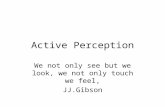 Active Perception We not only see but we look, we not only touch we feel, JJ.Gibson.