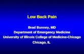 Low Back Pain Brad Bunney, MD Department of Emergency Medicine University of Illinois College of Medicine-Chicago Chicago, IL.