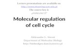 Molecular regulation of cell cycle Aleksander L. Sieroń Department of Molecular Biology  Lecture presentations are available.