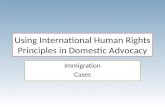 Using International Human Rights Principles in Domestic Advocacy Immigration Cases.
