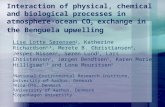 Interaction of physical, chemical and biological processes in atmosphere-ocean CO 2 exchange in the Benguela upwelling Lise Lotte Sørensen 1, Katherine.