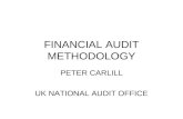 FINANCIAL AUDIT METHODOLOGY PETER CARLILL UK NATIONAL AUDIT OFFICE.