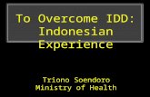 To Overcome IDD : Indonesian Experience Triono Soendoro Ministry of Health.