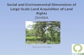 Social and Environmental Dimensions of Large-Scale Land Acquisition of Land Rights ZAMBIA Davison Gumbo.