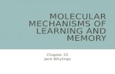 MOLECULAR MECHANISMS OF LEARNING AND MEMORY Chapter 25 Jack Whylings.