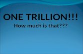 ONE TRILLION!!! How much is that???. Let’s Find Out!! Let’s count to ONE TRILLION!! With each second being one unit how long would it take to count to.