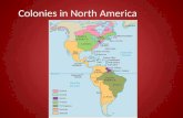 Colonies in North America. Competing in North America Colony: region controlled by a foreign country French, English, Dutch want a claim in the New World.