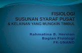Rahmatina B. Herman Bagian Fisiologi FK-UNAND. Overview Central Nervous System (CNS) CNS consists of brain and spinal cord Estimated 100 billion neurons.