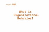 Chapter ONE What is Organizational Behavior?. After studying this chapter, you should be able to: 1.Describe what managers do. 2.Define organizational.