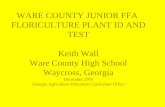 WARE COUNTY JUNIOR FFA FLORICULTURE PLANT ID AND TEST Keith Wall Ware County High School Waycross, Georgia December 2004 Georgia Agriculture Education.