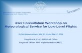 International Civil Aviation Organization European and North Atlantic Office User Consultation Workshop on Meteorological Service for Low-Level Flights.