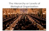The Hierarchy or Levels of Biological Organization.