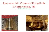 Raccoon Mt. Caverns/Ruby Falls Chattanooga, TN By: Anna Van Dresser.