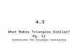 4.3 What Makes Triangles Similar? Pg. 12 Conditions for Triangle Similarity.