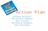 Action Plan Ashley Nichols Mackenzie Padula Mya Lanasa Michelle Robbins Sam Gariepey.