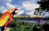 Wildlife Watchers In Beautiful Costa Rica!!! By: Alex Holder 4 th Period 11-9-2010.