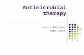 Antimicrobial therapy Laura Whitney Sept 2010. Limitations of this session Prescribing practice only – not micro teaching Not covering why prudent prescribing.