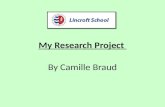 My Research Project By Camille Braud. My research question `Do children learn more in a lesson with the help of technology or without it?’