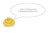 Hey! I’m Plasmy, the Endoplasmic Reticulum!. I’m a very important organelle found in all eukaryotic organisms including you.