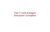 The T Cell Antigen Receptor Complex. Generating Evidence for and isolating the TCR Generation of cytotoxic T lymphocytes (CTLs) Zinkernagel and Doherty.